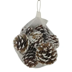 Juego de 10 piñas decorativas 5x5x7cm