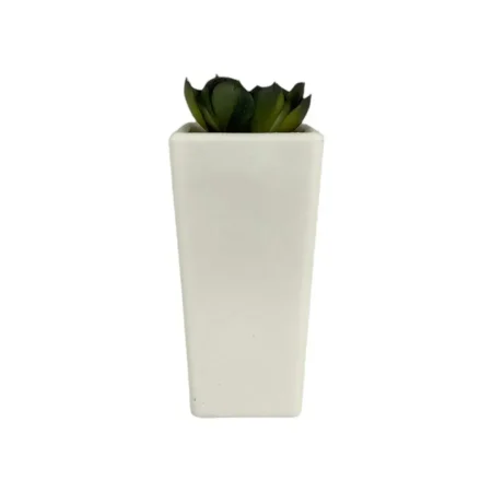 Planta con pote 12 x 12 x 23 cm