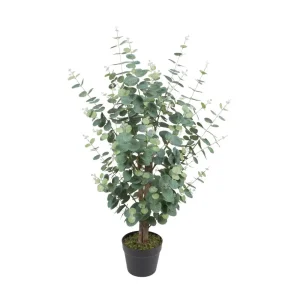 Planta con pote 95 x 60 x 95 cm