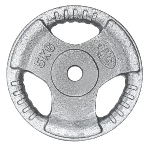 Disco de hierro 5 kg
