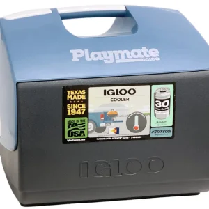 Hielera mini 15,14 lts