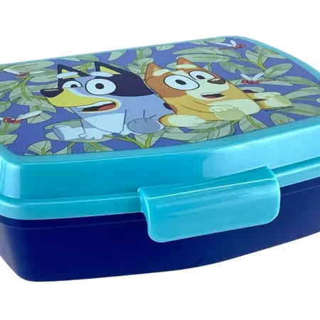 Envase para sandwich 17 x 14 x 5,6 cm