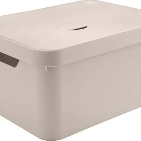 Caja organizadora grande con tapa