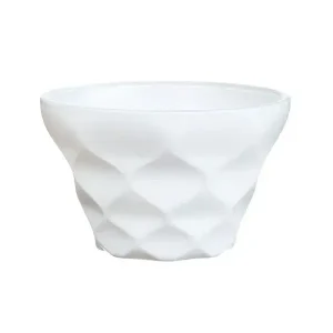 Bowl de 10 cm 200 ml
